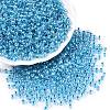 6/0 Transparent Inside Colours Glass Seed Round Beads SEED-N006-004D-1