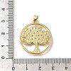 Rack Plating Brass with Cubic Zirconia Pendants KK-Z086-11G-01-3