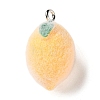 Fruit Theme Flocking Opaque Resin Pendants RESI-D017-04C-P-1