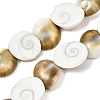 Natural Shiva Eye Shell Beads Strands SHEL-G021-01C-1