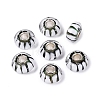 Handmade Lampwork & Brass Core European Beads LAMP-N044-01S-01-1