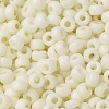 MIYUKI Round Rocailles Beads SEED-G008-RR2021-3