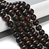 Natural Polychrome Jasper/Picasso Stone/Picasso Jasper Beads Strands G-C160-01-10mm-2