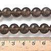Natural Ice Obsidian Beads Strands G-P590-A03-10mm-01-3