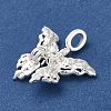 Rack Plating Brass Micro Pave Cubic Zirconia Pendants KK-M014-11P-2