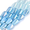 Electroplate Mixed Styles Glass Beads Strands EGLA-N022-10A-A05-1