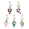 Natural Mixed Stone & Cultured Freshwater Pearl Pendants PALLOY-JF05317-1