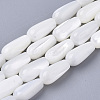 Natural Trochid Shell/Trochus Shell Beads Strands SSHEL-N032-04-1