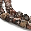 Natural Leopard Skin Jasper Beads Strands G-P497-01E-93-4