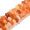 Natural Orange Botswana Agate Beads Strands G-N327-05-19-1