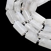 Natural Rainbow Moonstone Beads Strands G-C270-J01-4