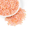 Imitation Cat Eye Glass Seed Beads SEED-N007-31B-1