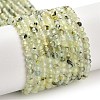 Natural Prehnite Beads Strands G-B107-A07-02-2