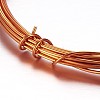 Round Aluminum Wire AW-D009-1.2mm-10m-12-1