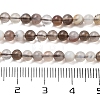 Natural Botswana Agate Beads Strands G-G143-A02-02-5