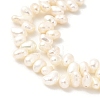 Natural Cultured Freshwater Pearl Beads Strands PEAR-A006-23C-4