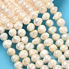 Natural Cultured Freshwater Pearl Beads Strands PEAR-L034-12F-1