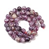 Natural Lepidolite/Purple Mica Stone Beads Strands G-G160-A01-01A-3