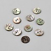 2-Hole Shell Buttons BUTT-WH0030-71E-1