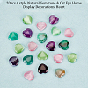 Olycraft 20pcs 4 style Natural Gemstone & Cat Eye Home Display Decorations DJEW-OC0001-36-4