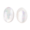 Natural White Shell Cabochons SSHEL-T017-06-3