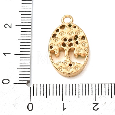 304 Stainless Steel Rhinestone Pendants SA-CBA59D3-04G-01-1