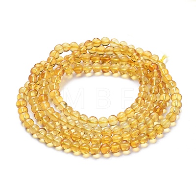 Natural Amber Beads Strands G-K308-D01-5mm-1