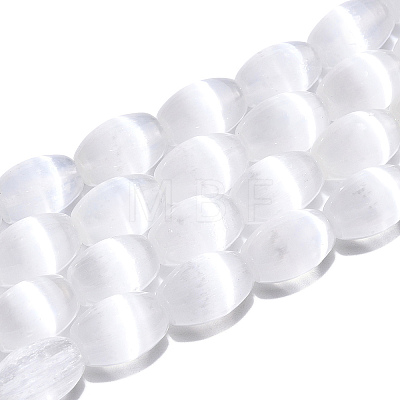 Dyed Natural Selenite Beads Strands G-T138-233A-1