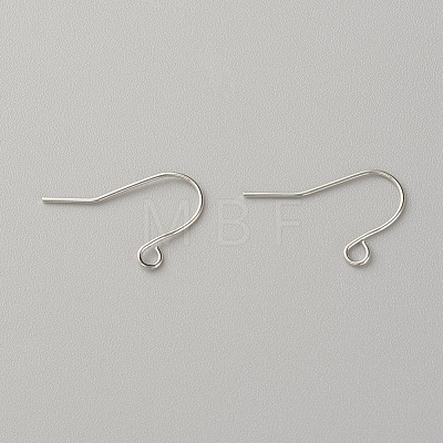 Iron Earring Hooks IFIN-XCP0003-06P-NF-1