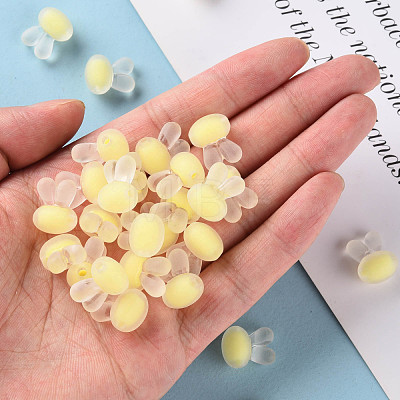 Transparent Acrylic Beads TACR-S152-12C-SS2105-1