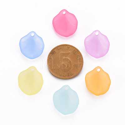 Transparent Frosted Acrylic Pendants MACR-S371-02A-1