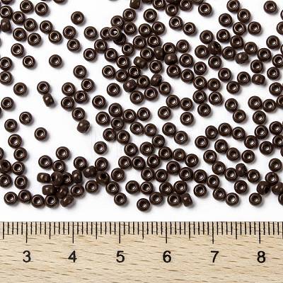 MIYUKI Round Rocailles Beads X-SEED-G008-RR0409-1
