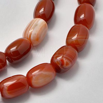 Natural Sardonyx Agate Beads Strands G-K208-37A-1