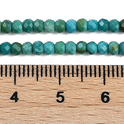 Natural Turquoise Dyed Beads Strands G-H070-A01-01-1