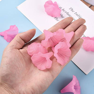 Transparent Acrylic Beads BSF796-C10-1