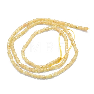 Natural Yellow Apatite Beads Strands G-P457-B01-13-1