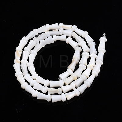 Natural Freshwater Shell Beads Strands SHEL-N026-213-A01-1