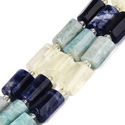 Natural Sodalite & Flower Amazonite & Lemon Quartz Beads Strands G-Q614-01A-01-1