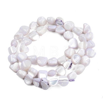 Natural Trochid Shell/Trochus Shell Beads Strands SSHEL-N032-49-A02-1