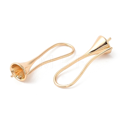 Brass Earring Hooks KK-Q770-10G-1