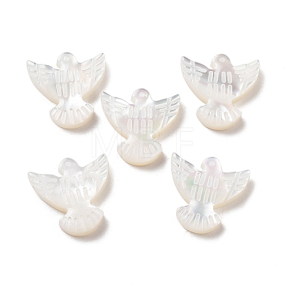 Natural Shell Beads BSHE-H017-02-1