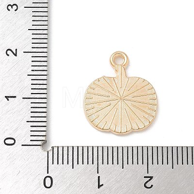 Thanksgiving Day Alloy Pendants ENAM-R007-01G-01-1