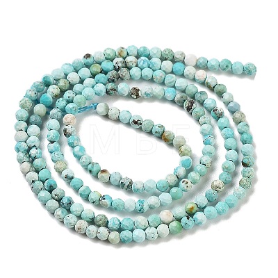 Natural HuBei Turquoise Beads Strands G-G792-38-01-1