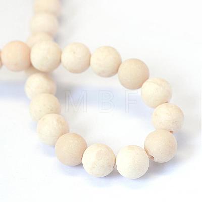 Frosted Natural Fossil Round Bead Strands G-E334-6mm-22-1