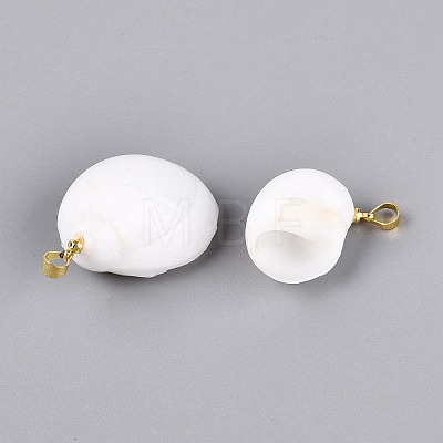 Brass & Natural Spiral Shell Pendants SHEL-Q029-12KCG-1
