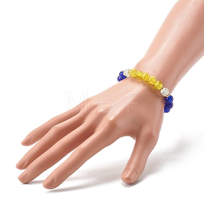 Glass Beads & Non-magnetic Synthetic Hematite Beads Stretch Bracelets BJEW-JB06480-1