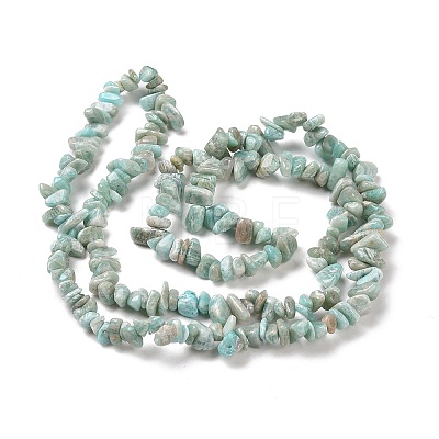 Natural Amazonite Chip Beads Strands G-M205-64-1-1
