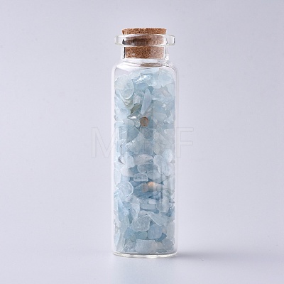 Glass Wishing Bottle DJEW-L013-A19-1