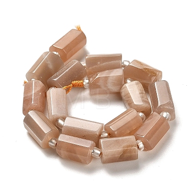 Natural Sunstone Beads Strands G-N327-06-12-1