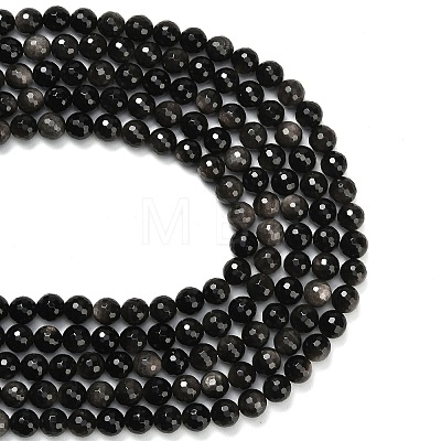 Natural Silver Obsidian Beads Strands G-C280-B08-10mm-1